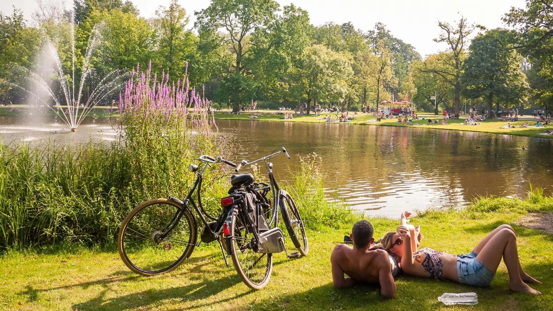 Park Plaza Vondelpark Amsterdam Hotel